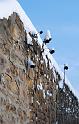 2010-12-02, Neuschnee (29)